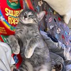 Mina Newman - Facebook