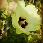 مینا صادقیان - @mina___sadeghian - Instagram