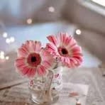 Mina Sadeghi - Facebook