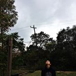 Mina Silva - @minasilvaphotogart - Instagram