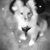 minathomas0 - @minathomas0 - TikTok