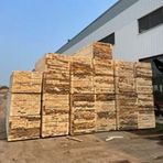 Mina Wood  - Facebook