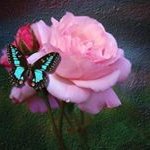 Mina Beukes Wright - @minabeukes - Instagram