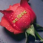 Minal Doshi - @minal8094 - Instagram