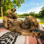 Minal Doshi - @beanscurry - Instagram