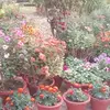 Minati Das - @user94qei1cz8v - TikTok
