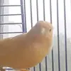 Min Daharis - @min.daharis - TikTok