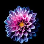 Minda Jones - Facebook