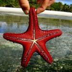 Mindi Brown - @mindib69 - Instagram