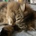 Mandy Springer - Facebook