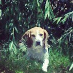 Mindi Williams - @mbmwilliams2 - Instagram