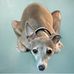 Mindy M Abney - Facebook
