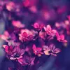 Mindy Baldwin935 - @7_mindylou_7 - TikTok