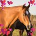 Mindy Baldwin - Facebook