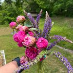 Mindy Barker - @barkersblossoms - Instagram