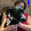 Roscoe & Mindy - @mindybarnes0 - TikTok