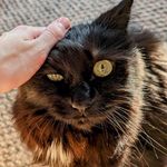 Mindy Barron - @kashagmom - Instagram