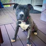 Mindy Beck - @bellatrix_pit21 - Instagram