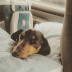 Mindy Yoffee Becker - @mindybecker1969 - Instagram