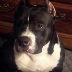 Mindy Benson Strauch - @mindystrauch - Instagram