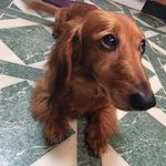 Mindy W Bernard - @mindybernard3 - Instagram