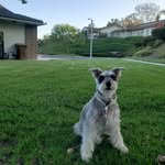 Mindy Bowen - @mindynalex - Instagram