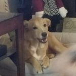 Mindy Bowen - @beanbeansmomma - Instagram