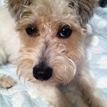 Mindy Burns - @charlie32584 - Instagram