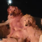 Melinda Carmichael - Facebook