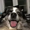 Mindy Gowdy Carmichael - @mindygowdycarmich - TikTok
