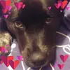 Mindy Carpenter - @mindy.carpenter0 - TikTok
