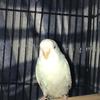 MindyCobb - @gerhavqs9dl - TikTok