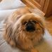 Mindy Daniels - Facebook
