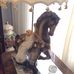 Mindy Daniels - Facebook
