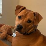 Mindy Douglas - @buttercuppy8 - Instagram