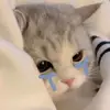 MindyDouglas - @calebvpaoza - TikTok