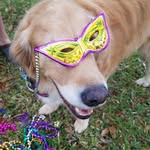 Mindy Bisbee Duran - @sapphireeyez74 - Instagram