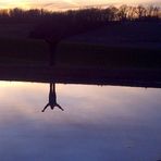 Mindy Eckert - Facebook