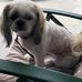 Ellsworth Mindy - Facebook