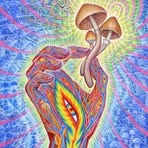 MindYour Feedňess - Facebook