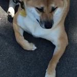 Mindy Fuller - @mindyfuller8174 - Instagram