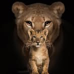 Mindy Gibbons - Facebook