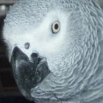 Mindy Goldstein - @minzz39 - Instagram