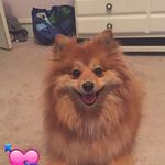 Mindy Goldstein Levin - @minlevin1 - Instagram