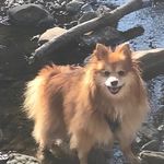 Mindy Goldstein Levin - @mindy_levin - Instagram