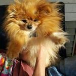 Scott Mindy Halverson - @scotthalverson - Instagram