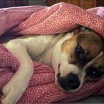 Mindy Harrison Hofacker - @mindy_harrison_hofacker - Instagram