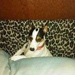 Mindy Hendrix - @hendrix.mindy - Instagram
