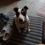 Mindy Hendrix - @mindy.hendrix.779 - Instagram