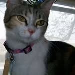 Mindy Herbert - @majickat - Instagram